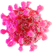 virus